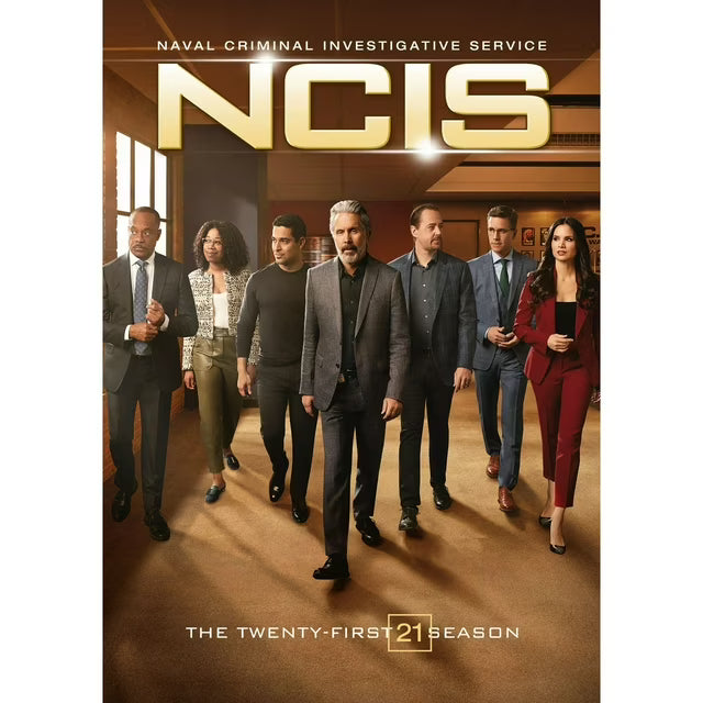 NCIS Season 21 (DVD)