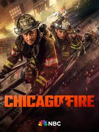 Chicago Fire Season 13 (DVD)
